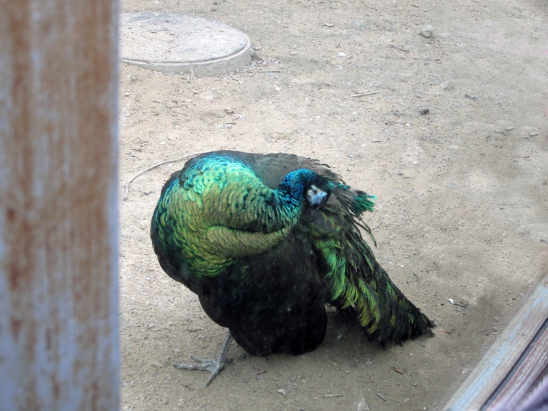 2012 China 071.jpg
